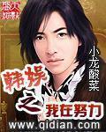 韓娛之我在努力
