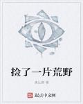 撿了一片荒野
