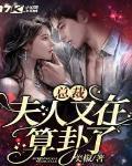 總裁，夫人又在算卦了