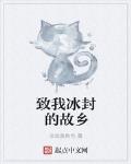 致我冰封的故鄉